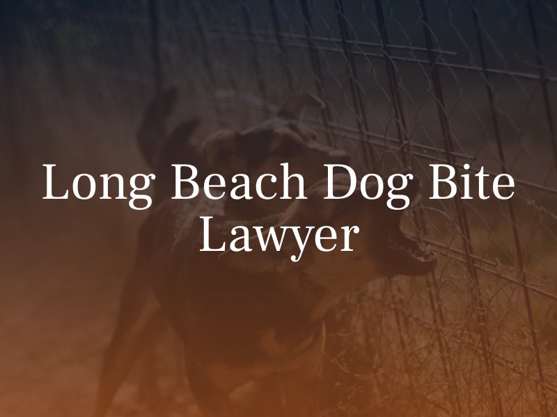 Long Beach Dog Bite Lawyer